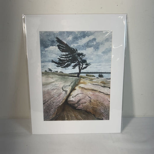 WINDY TREE