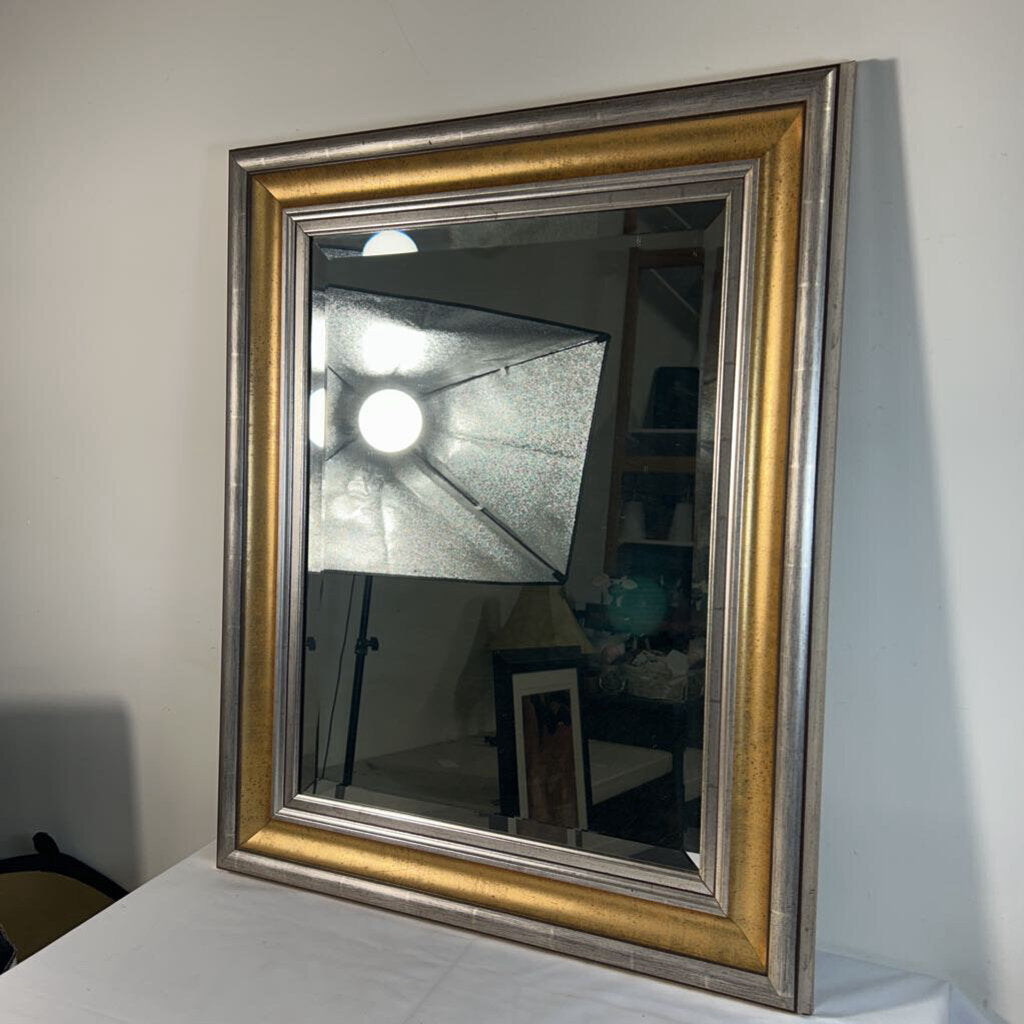 SILVER/GOLD FRAMED BEVELED MIRROR