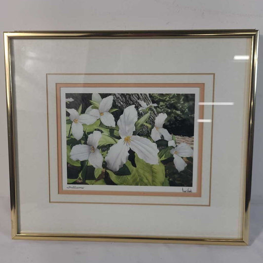 TRILLIUMS ~ DOUG HOOK