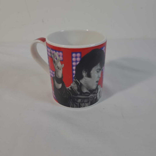 ROYAL DOULTON ELVIS MUG~STAND UP