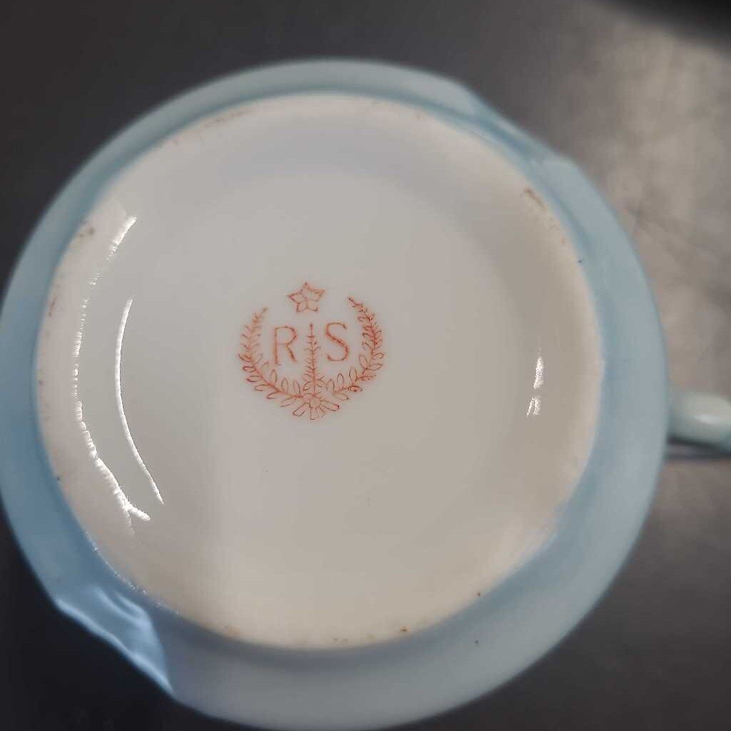 15 PC RS PRUSSIA PORCELAIN TEA SET