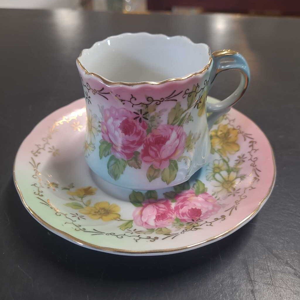 15 PC RS PRUSSIA PORCELAIN TEA SET
