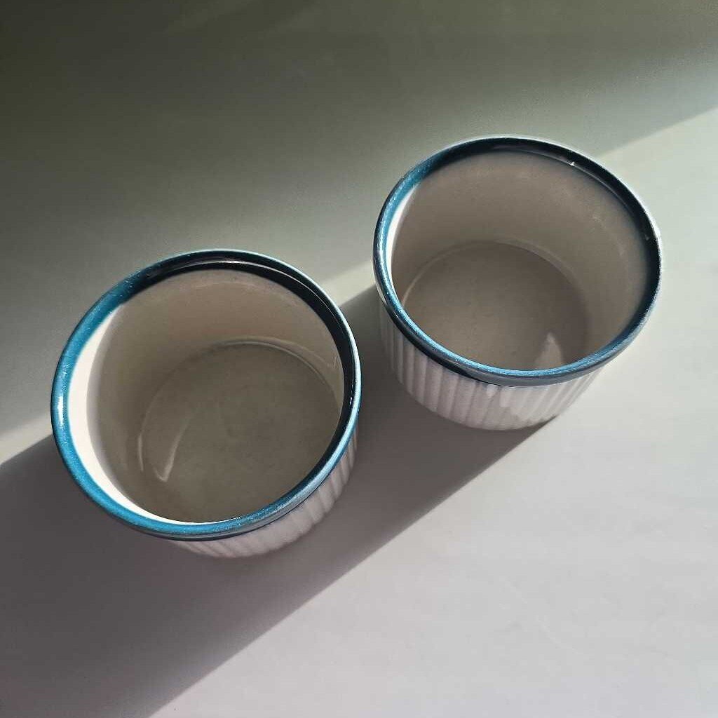 Wedgwood Pacific Blue 3" Ramekin Set of 2 WWBLPA-RAMM1