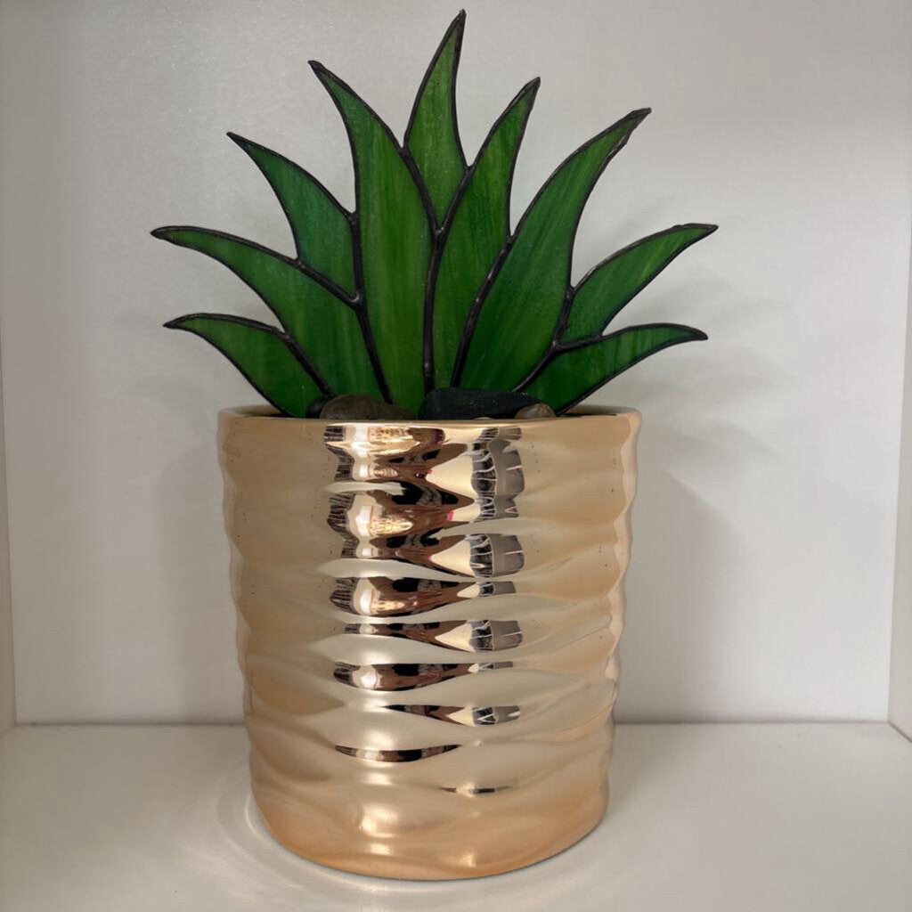 Stained Glass Agave Plant