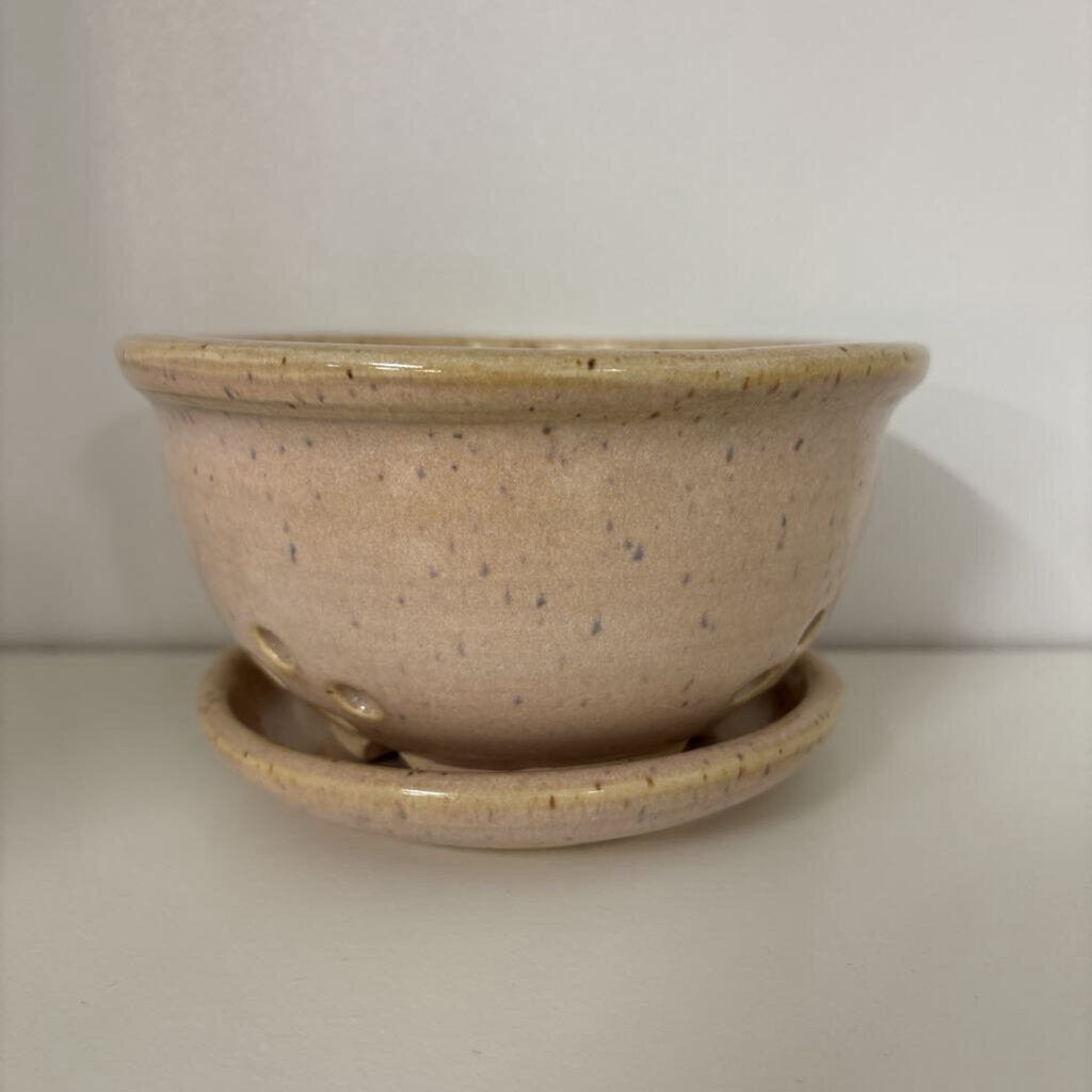 BERRY BOWL