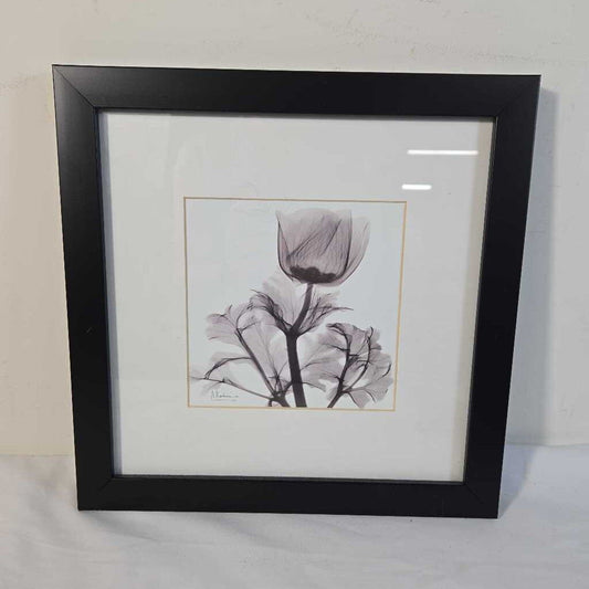 XRAY TULIP PRINT B
