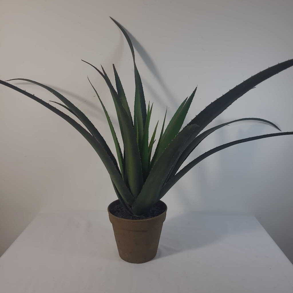 FAUX ALOE
