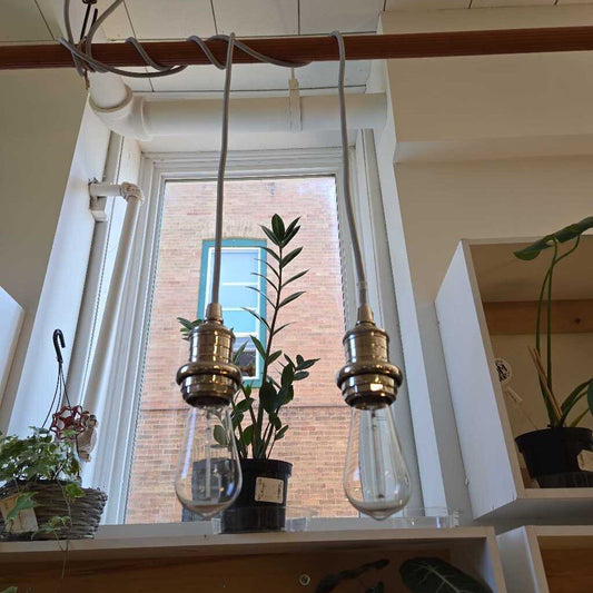 PR POTTERY BARN CORDED PENDANT LIGHTS