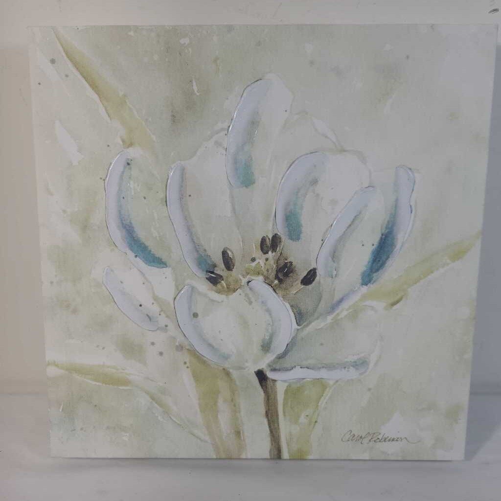 CANVAS TULIP
