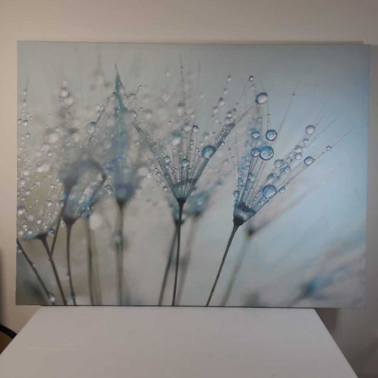 FLOWERS & RAIN DROPS CANVAS