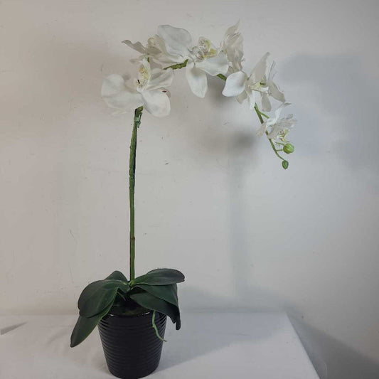 FAUX ORCHID IN POT