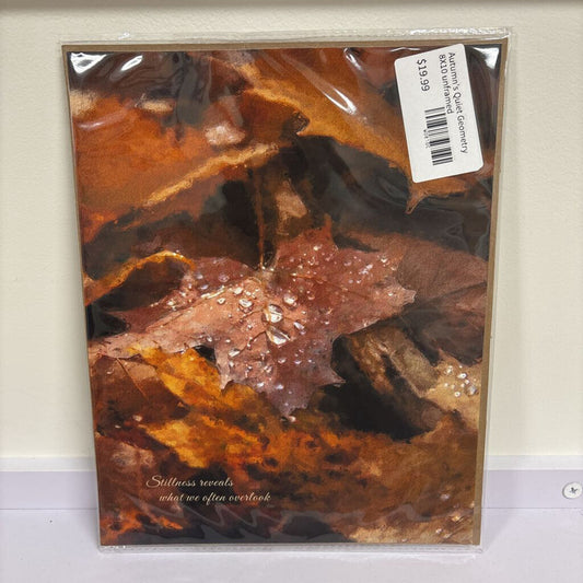 Autumn's Quiet Geometry