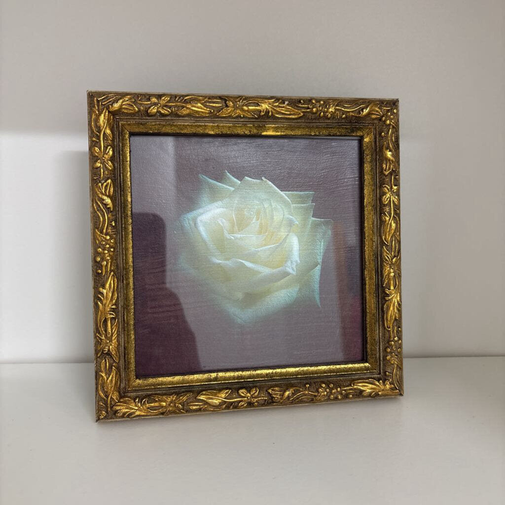 Vintage Framed Print