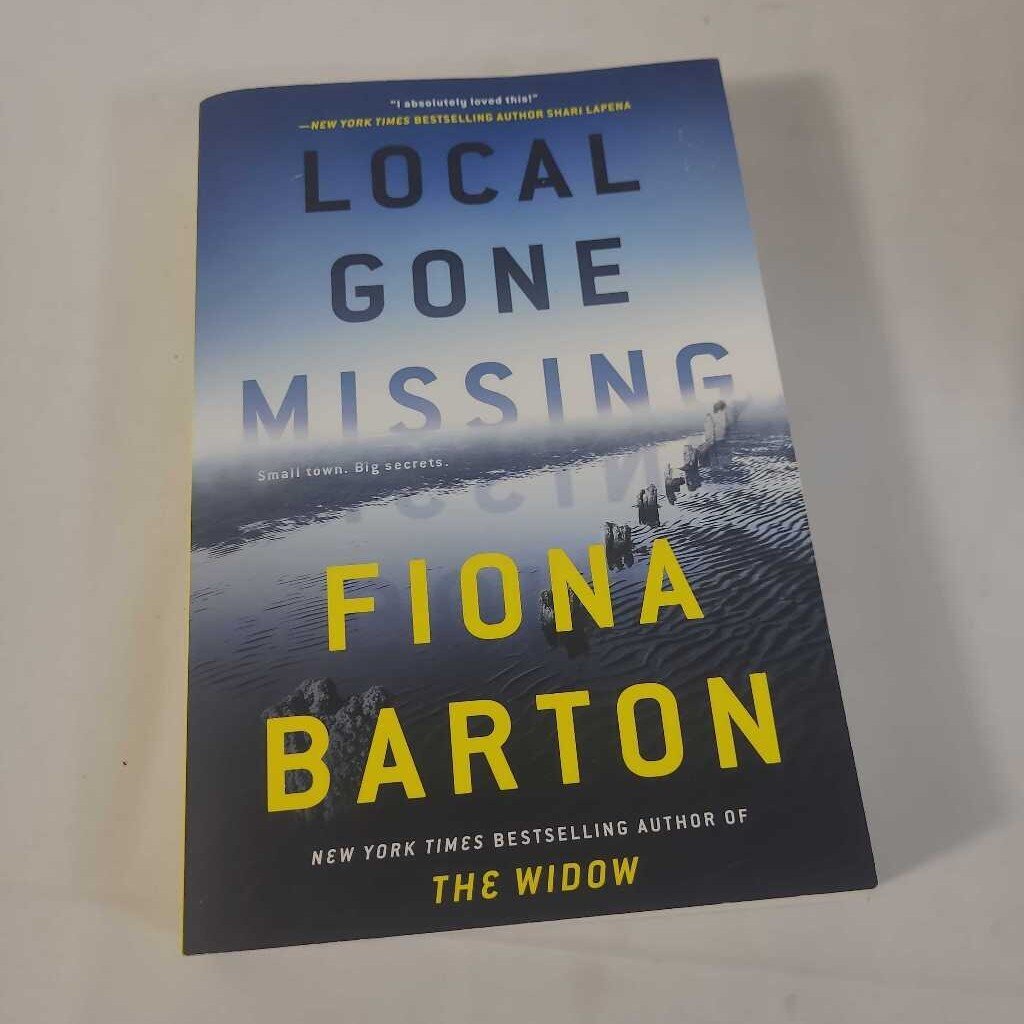 LOCAN GONE MISSING - FIONA BARTON