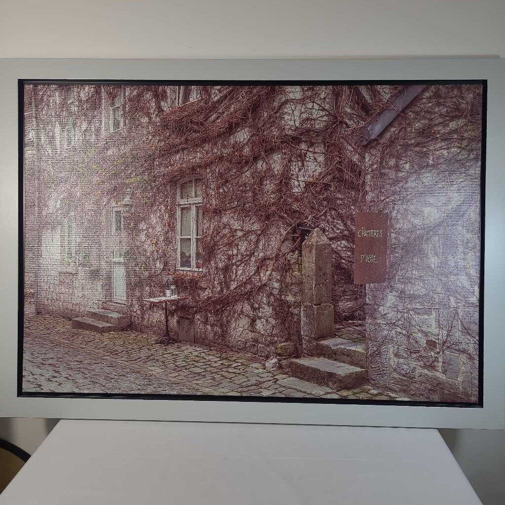VINE WRAPPED HOTEL FRAMED CANVAS