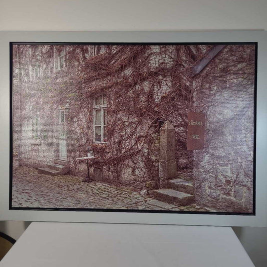 VINE WRAPPED HOTEL FRAMED CANVAS