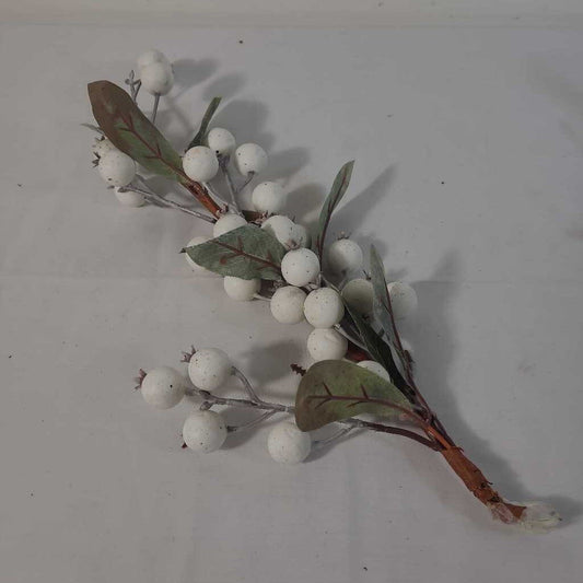 SEED POD PICK