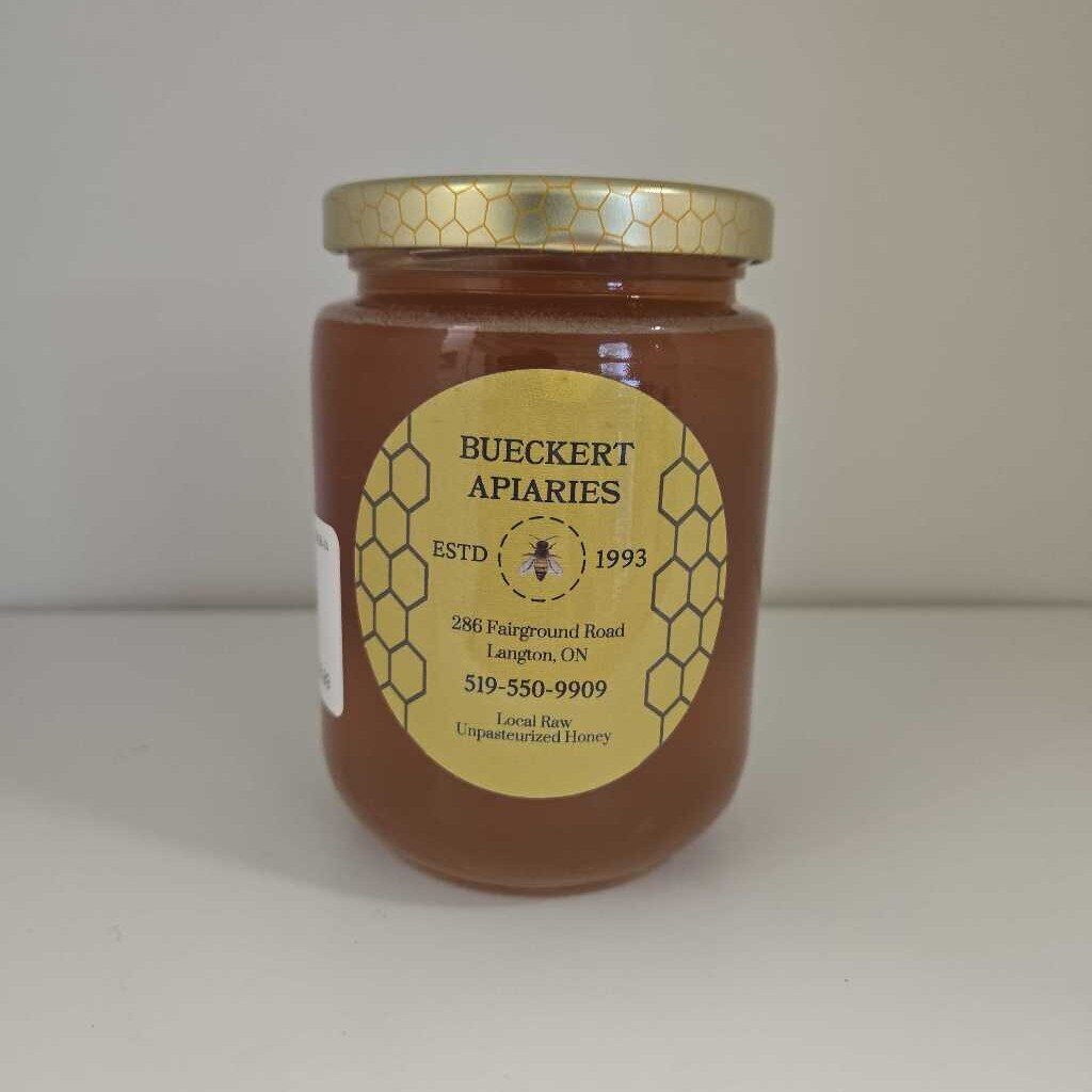 BA HONEY WILD BLUEBERRY 500