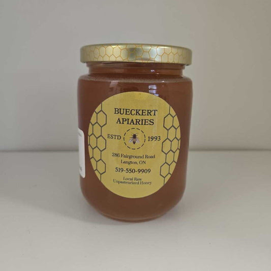 BA HONEY WILD BLUEBERRY 500