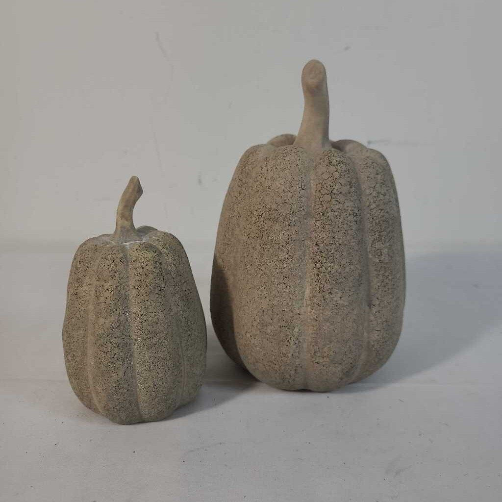 PR TAUPE SQUASH