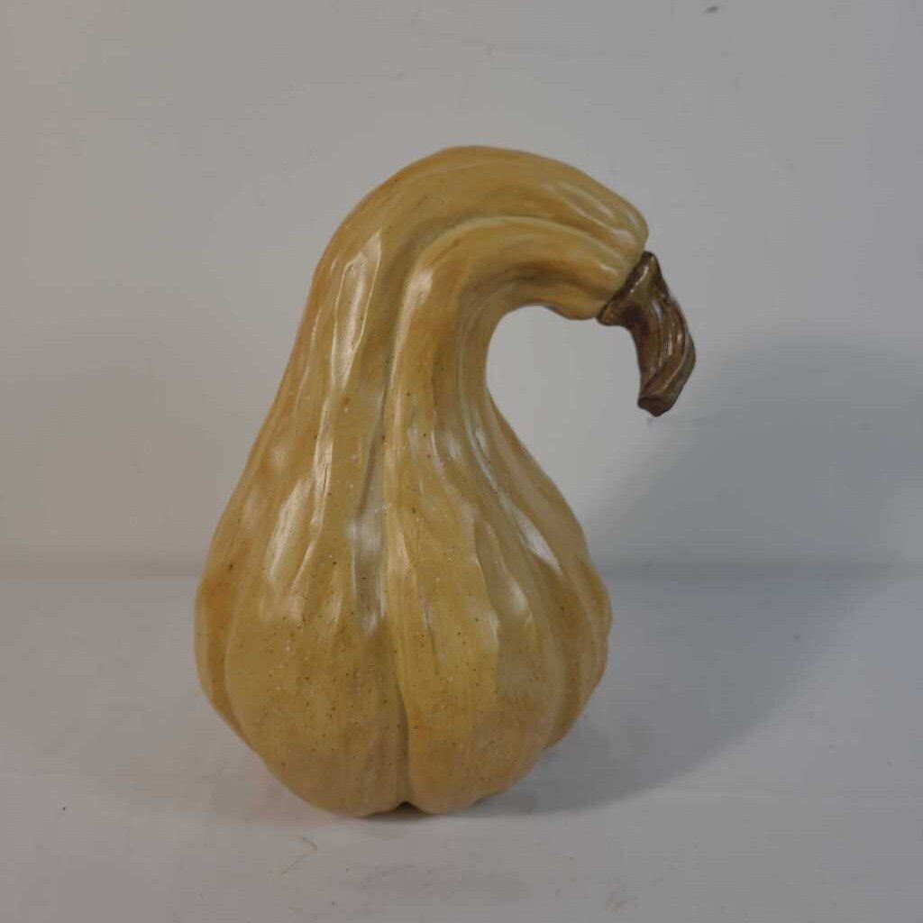 CURLED SQUASH
