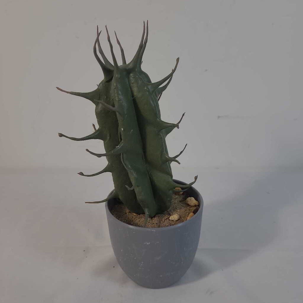 FAUX CACTUS IN GREY POT