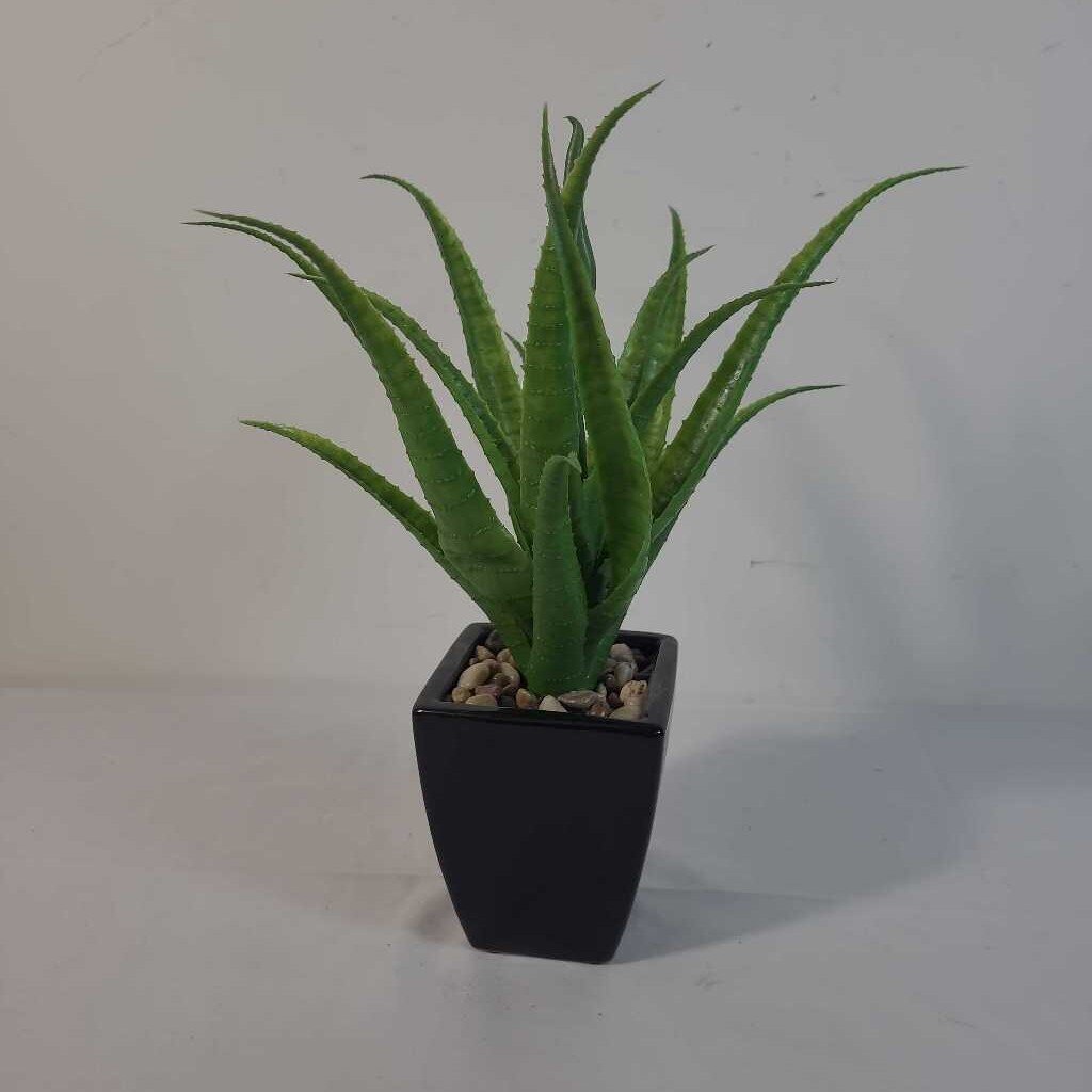 FAUX ALOE IN BLACK POT