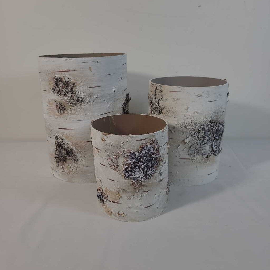 S/3 BIRCH VASES