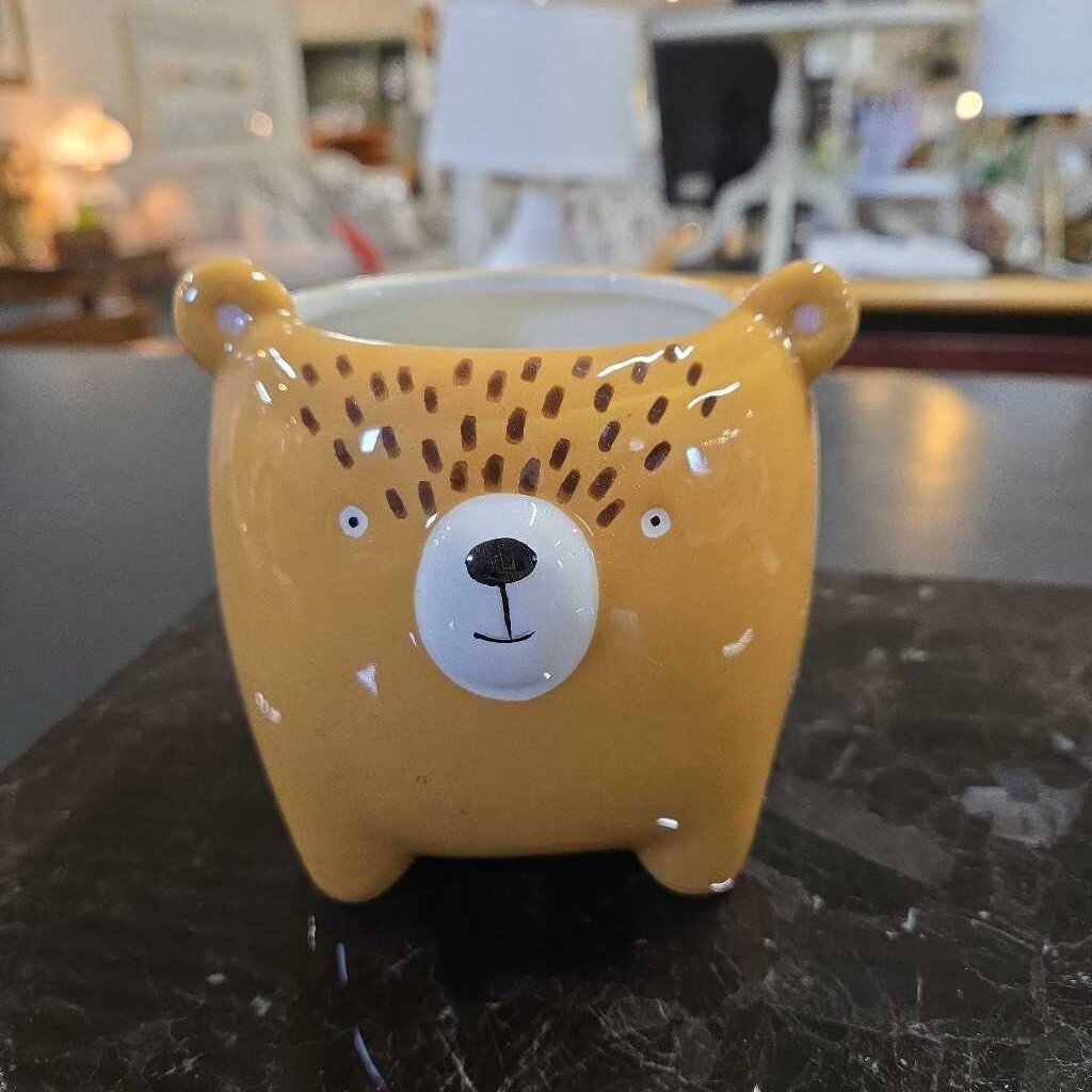 BEAR PLANT POT