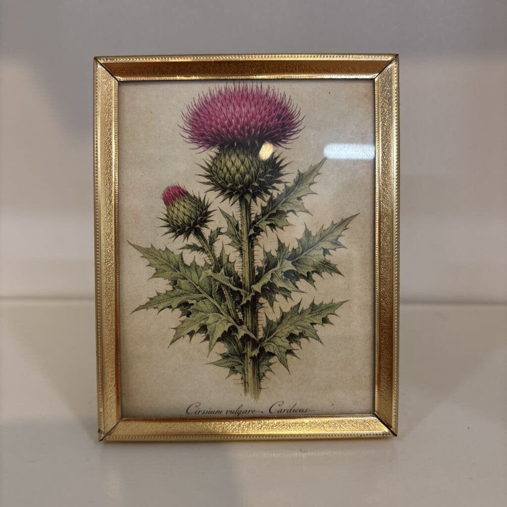 VINTAGE BRASS FRAME