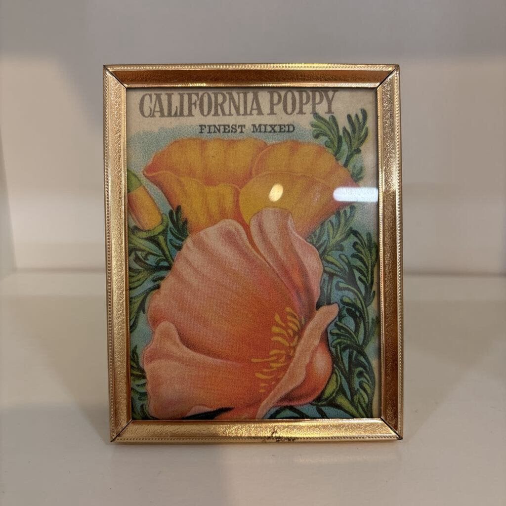 VINTAGE BRASS FRAME