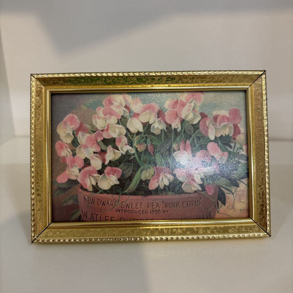 VINTAGE BRASS FRAME