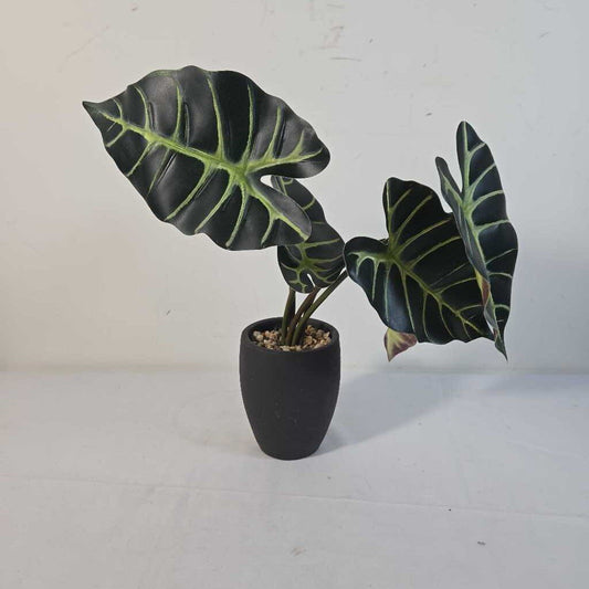 FAUX ALOCASIA IN POT