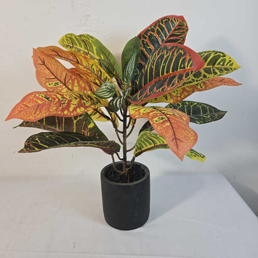 FAUX CROTON IN BLACK POT