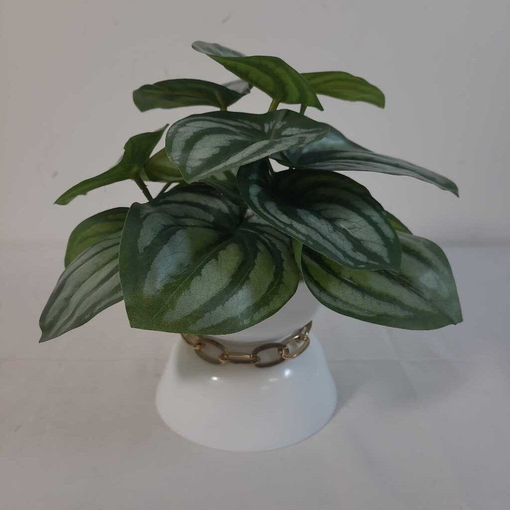 FAUX PEPEROMIA IN WHITE POT