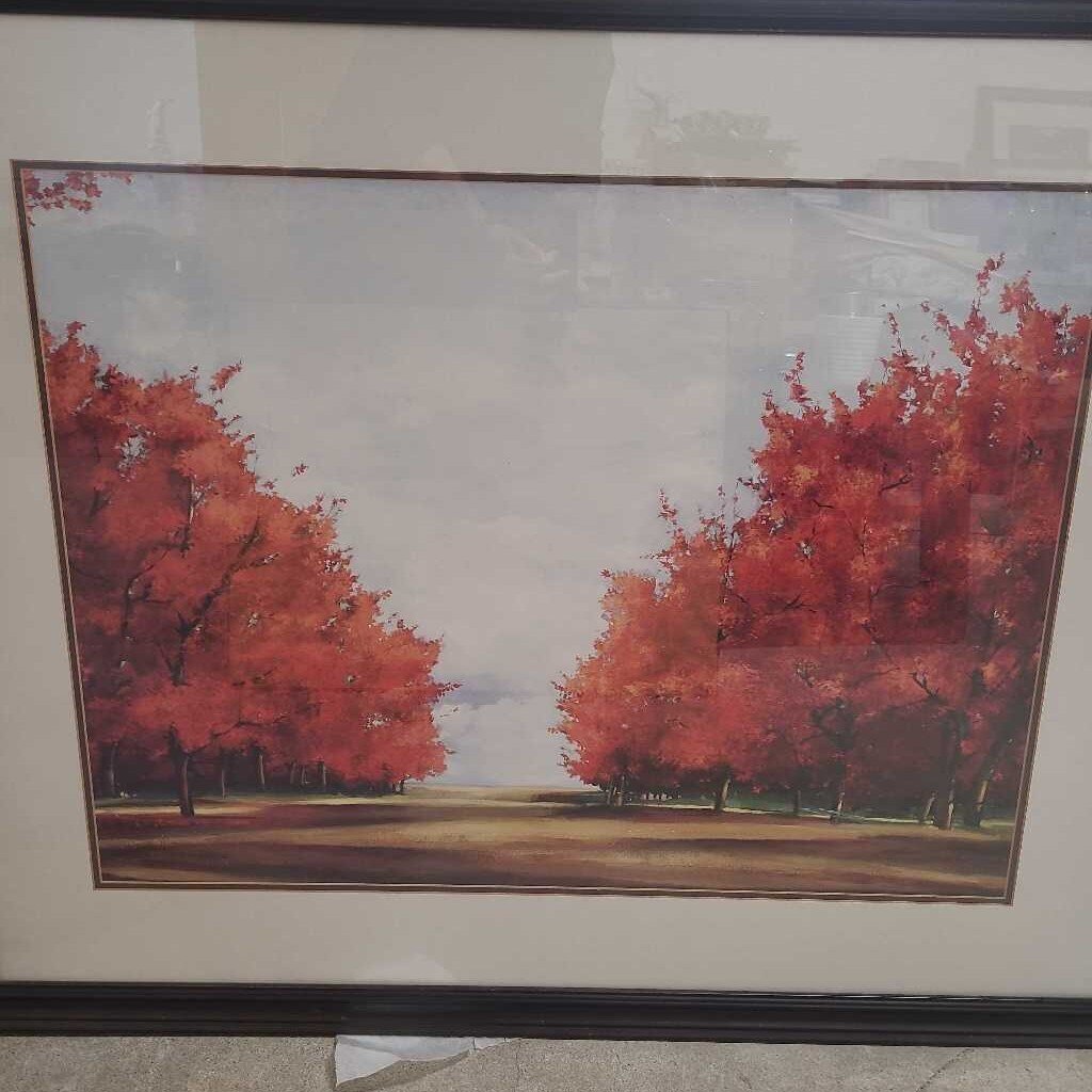 FALL RED TREES