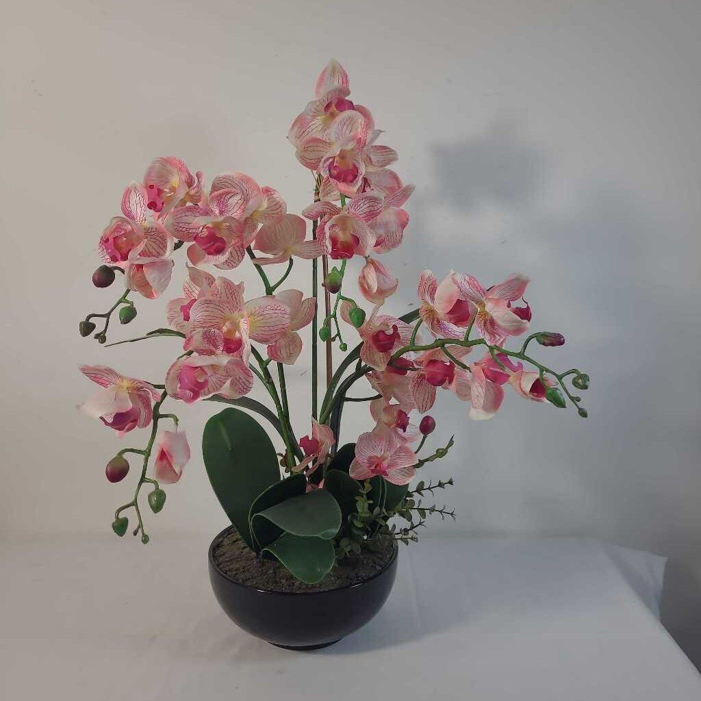 PINK ORCHIDS IN BLACK POT