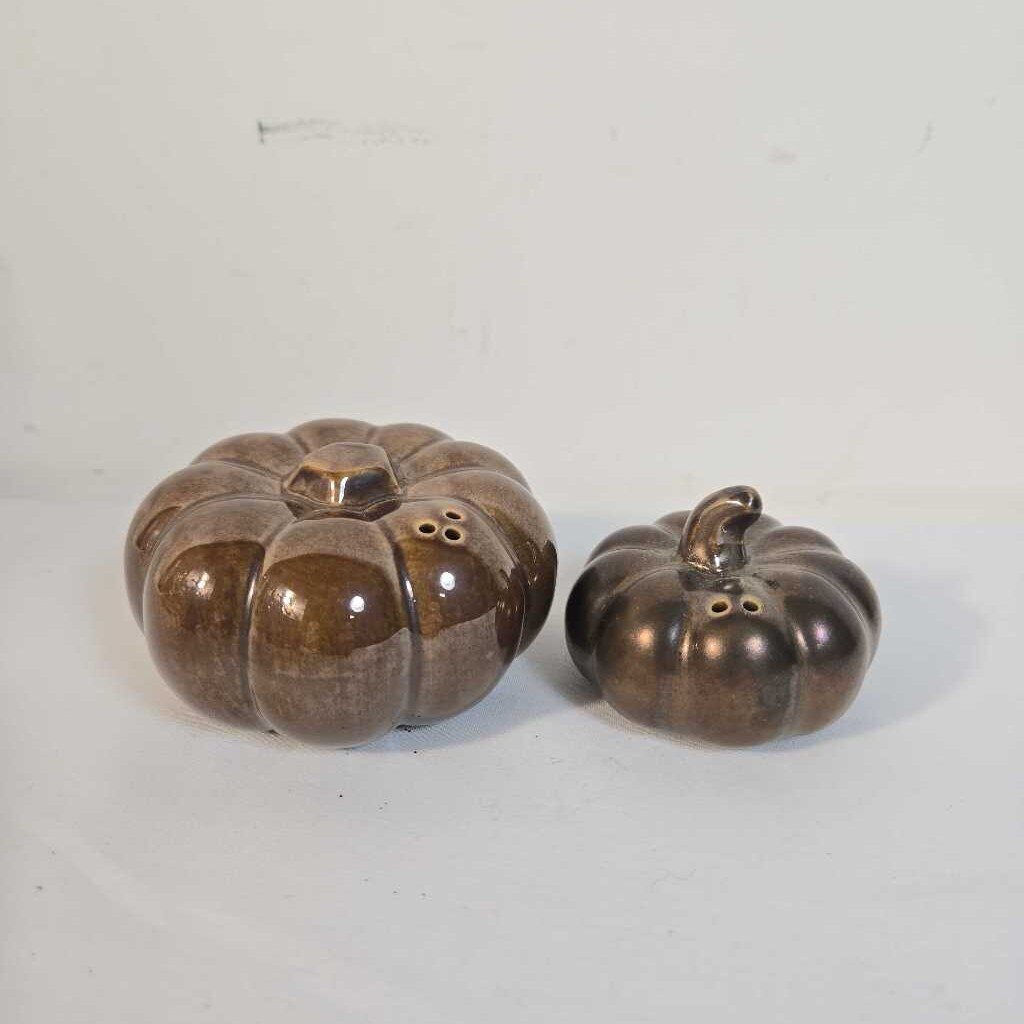BROWN PUMPKIN S&P SHAKERS