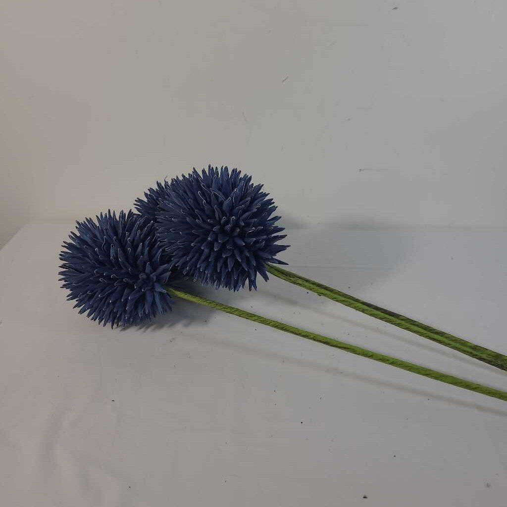 BLUE THISTLE PICK