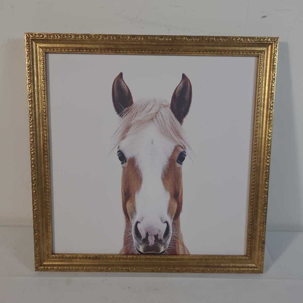 GOLD FRAMED HORSE PRINT
