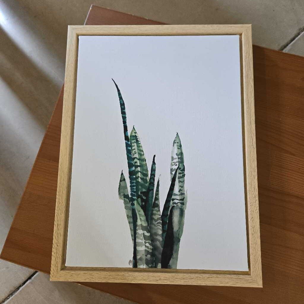 SNAKE PLANT FRAMED CANVAS