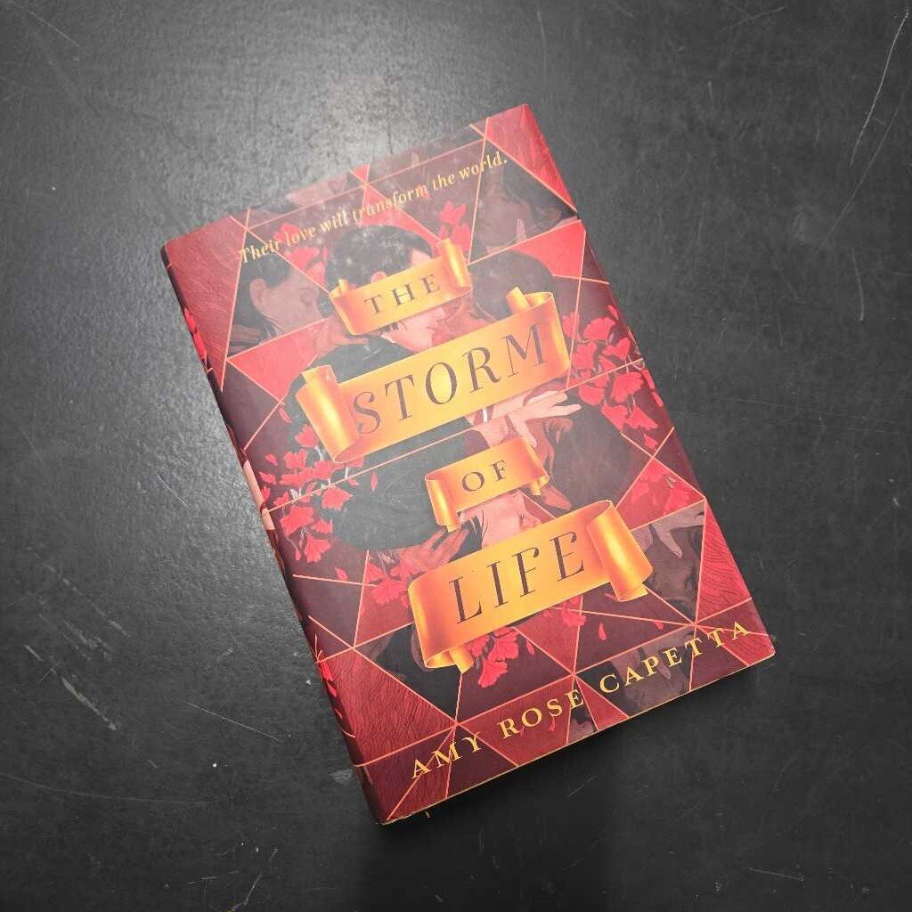 THE STORM OF LIFE - AMY ROSE CAPETTA