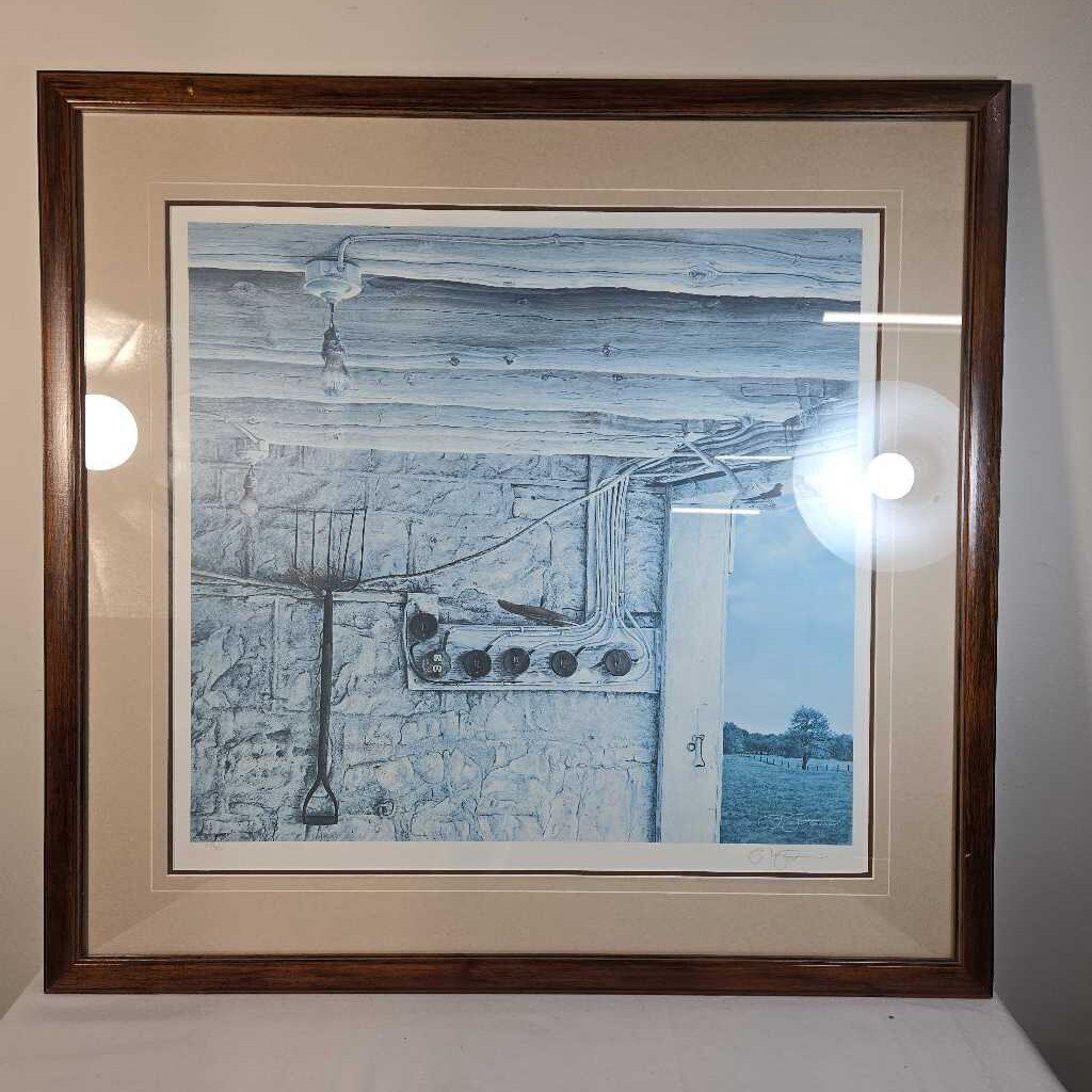 B.DARCY NELBRAE FARM