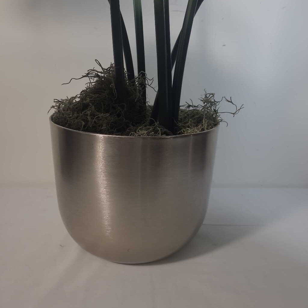 FAUX BIRD OF PARADISE IN SILVER POT