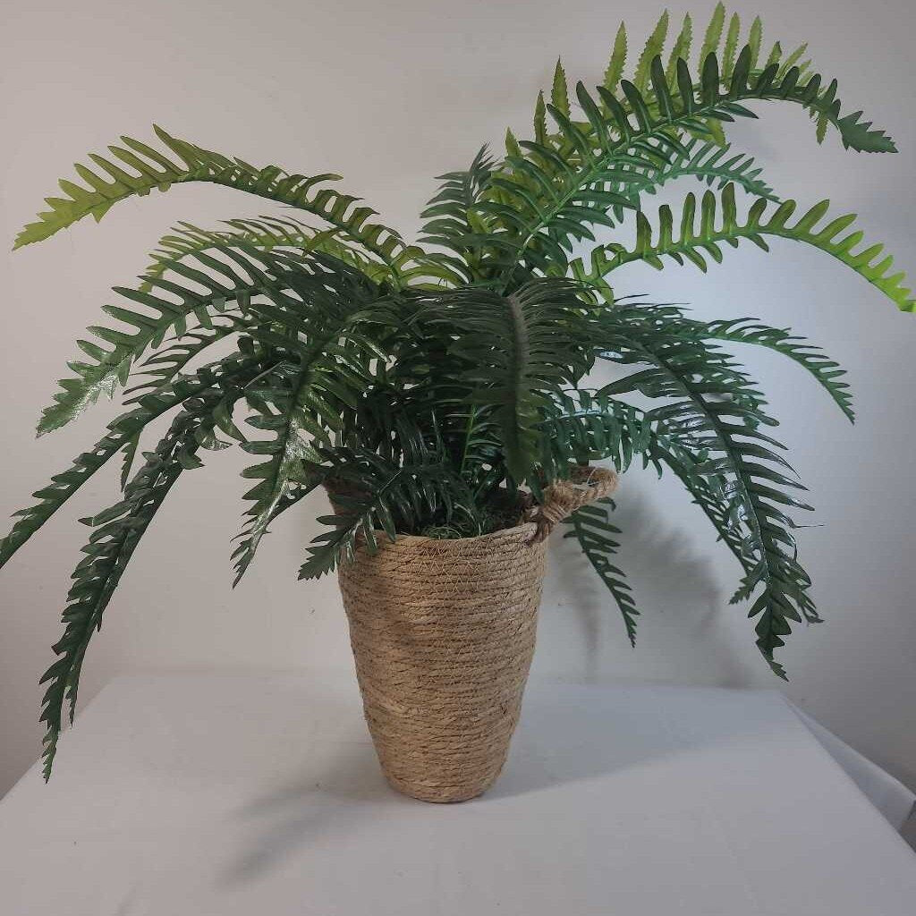 FAUX FERN IN WOVEN POT
