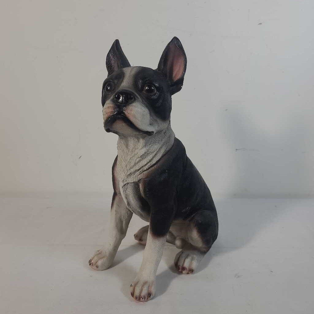 SITTING BOSTON TERRIER - EARS UP
