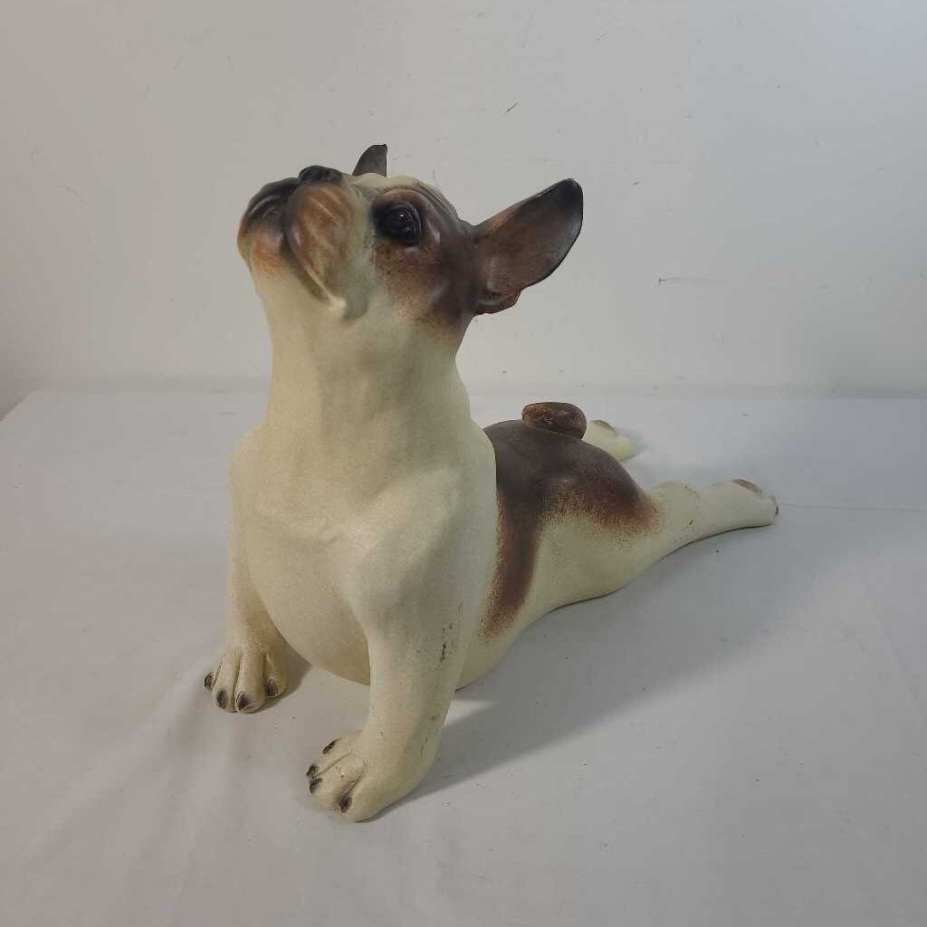 BIG STRETCH FRENCH BULLDOG