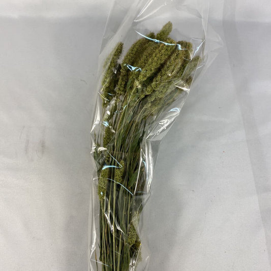 DRIED FLORAL BUNCH - NIB