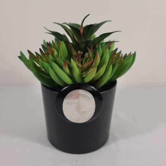 ROUND BLACK/MOTHER OF PEARL POT W/GREENERY