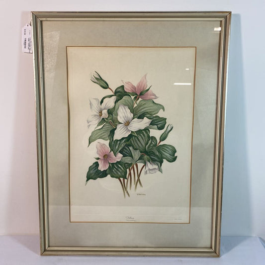 VTG FRAMED TRILLIUM PRINT - EMILY SARTAIN